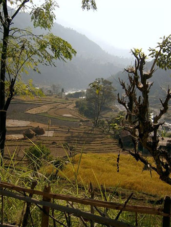 Rice  Terraces near Bahun Danda